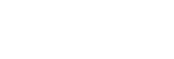 logo reggeborgh